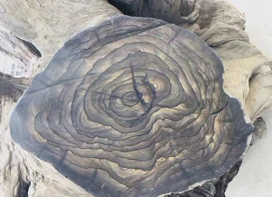 comprar Fabricação de chapa de madeira de ciricote/ciricote para carpintaria de construção online manufacture