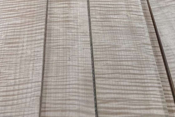 Folhas de folheado de bordo encaracolado usadas na fabricação de móveis