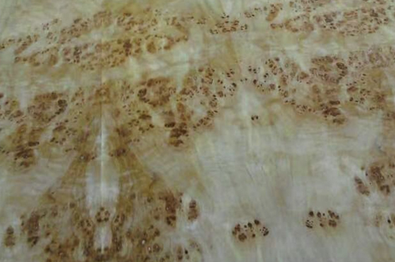 Mappa Burl Wood Veneer comprimento 0,5m-2m / 2cm-2.44m/ 2.45m-3.6m