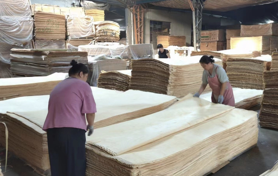 0.25-0.5mm Veneer de bétula russo Veneer de madeira de corte rotativo 1270x2500mm