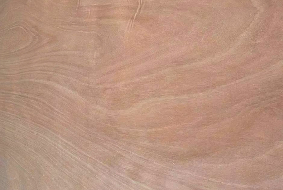 0.1-0.5 mm Veneer de madeira Okoume Veneer rotativo descascado 1270mm*2500mm